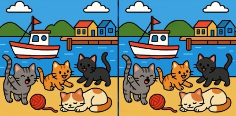 Тест на IQ: знайдіть 3 відмінності на картинках кішок, що грають, за 23 секунди