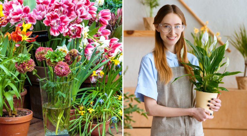 "Це просто захват": як перетворити м'ясні кістки на найпотужнішу підгодівлю для квітів