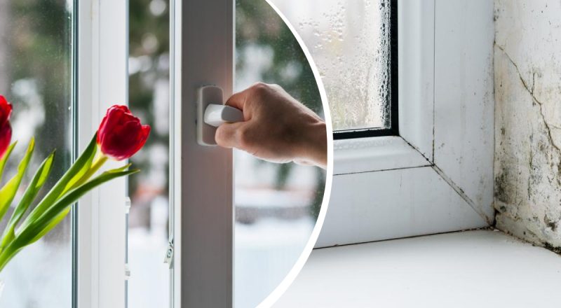 Когда проветривать дом, чтобы не появлялась плесень и конденсат: специалисты дали четкий ответ