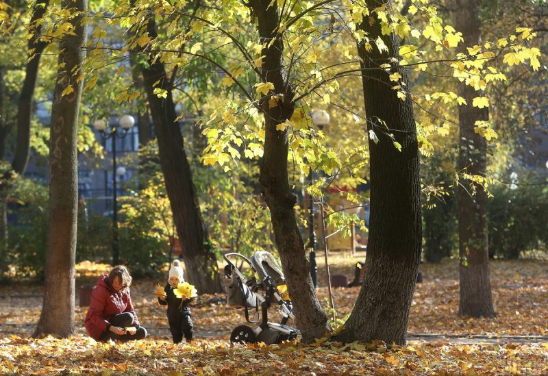 В Украину идет настоящее потепление: какие регионы разогреет до +20 градусов