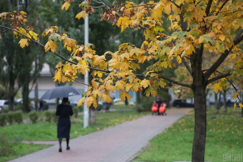 Ожидайте сильный ветер и похолодание: когда Украину покинет теплая погода