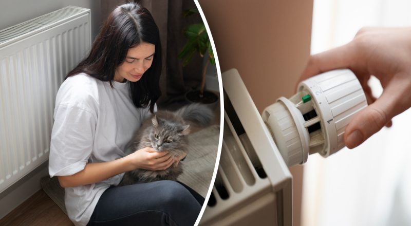 Батареї стануть гарячішими миттєво: інженер поділився простим секретом