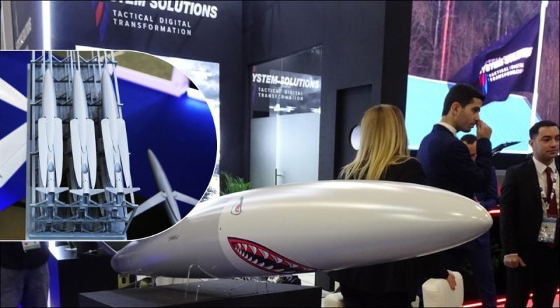 Дальность 1000 км: Беларусь могла тайно создать дешевую крылатую ракету для РФ