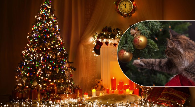 Испортите себе праздник: где нельзя ставить елку