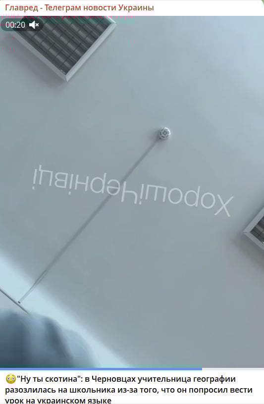 Обізвала 'скотиною' за українську: у Чернівцях вчительку звільнили після гучного скандалу