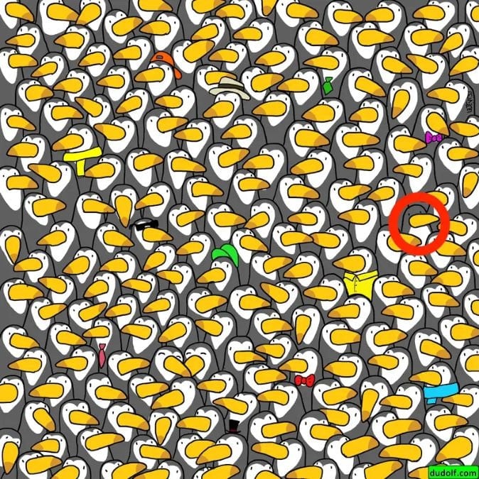 Головоломка для мегамозків: лише одиниці знайдуть пінгвіна за 30 секунд Головоломка для мегамозків: лише одиниці знайдуть пінгвіна за 30 секунд