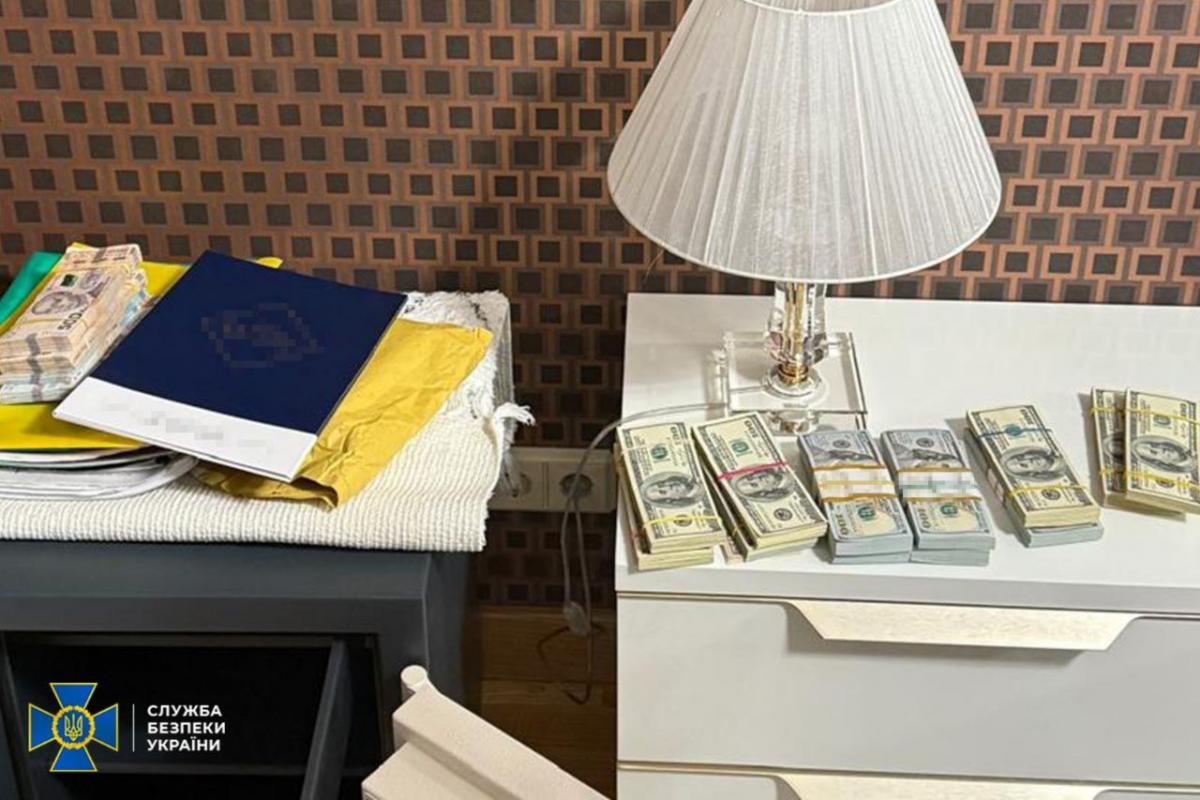 СБУ та НАБУ викрили народну депутатку України на підбурюванні до надання хабаря у 250 тис. доларів США