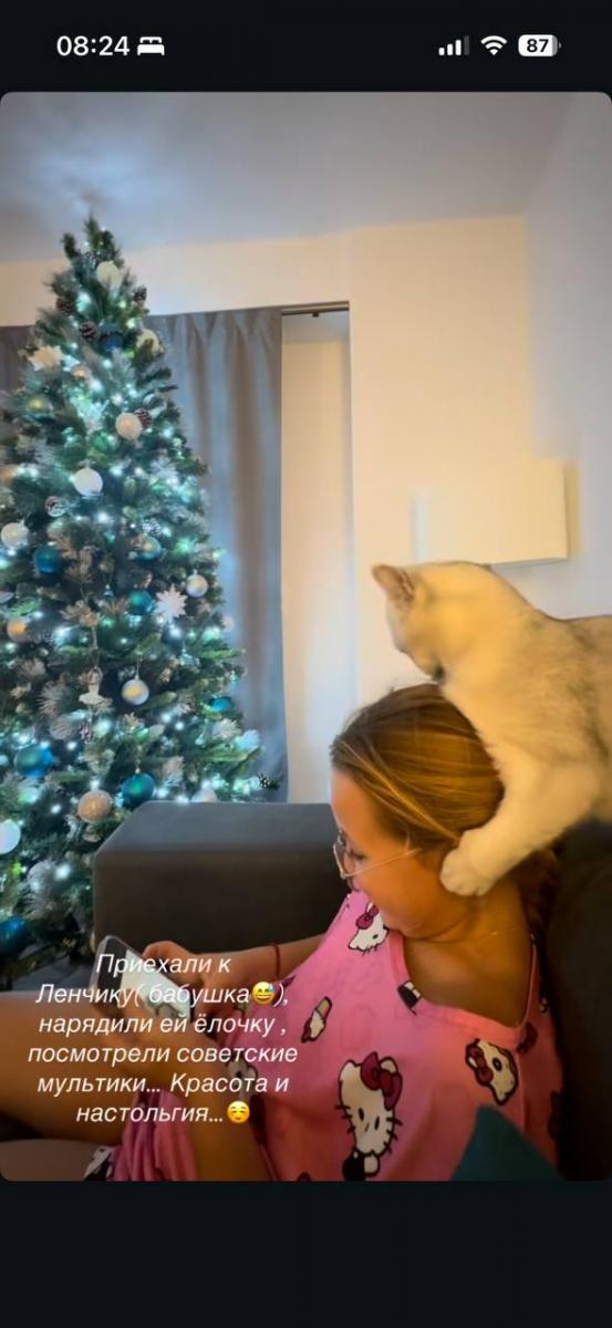 Соломко опозорилась незнанием орфографии Соломко опозорилась незнанием орфографии