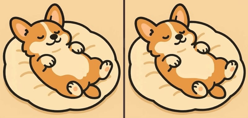 головоломка головоломка