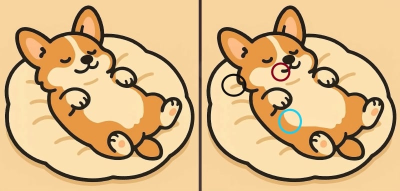 головоломка головоломка