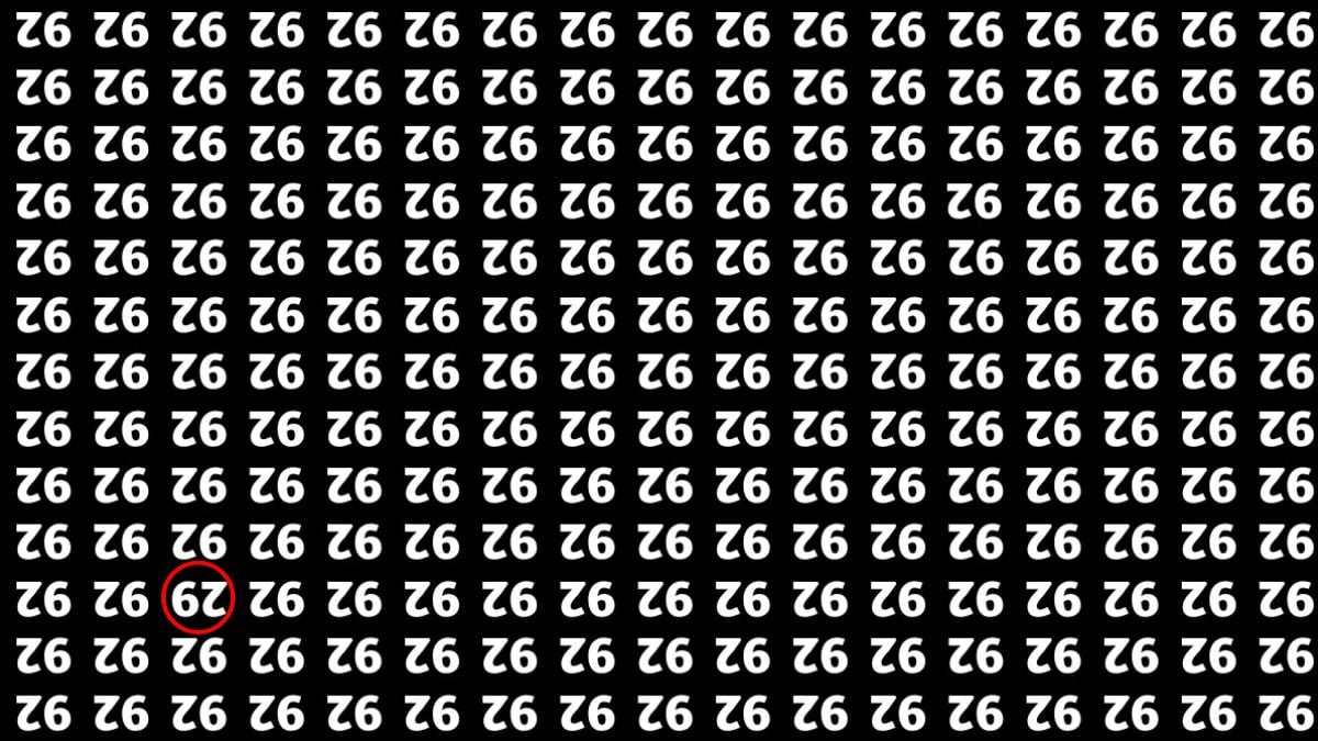 Тільки 2% геніїв знайдуть приховане число 29 за 10 секунд: дивовижна головоломка Тільки 2% геніїв знайдуть приховане число 29 за 10 секунд: дивовижна головоломка