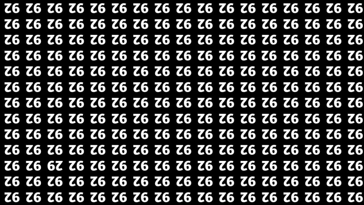 Тільки 2% геніїв знайдуть приховане число 29 за 10 секунд: дивовижна головоломка Тільки 2% геніїв знайдуть приховане число 29 за 10 секунд: дивовижна головоломка