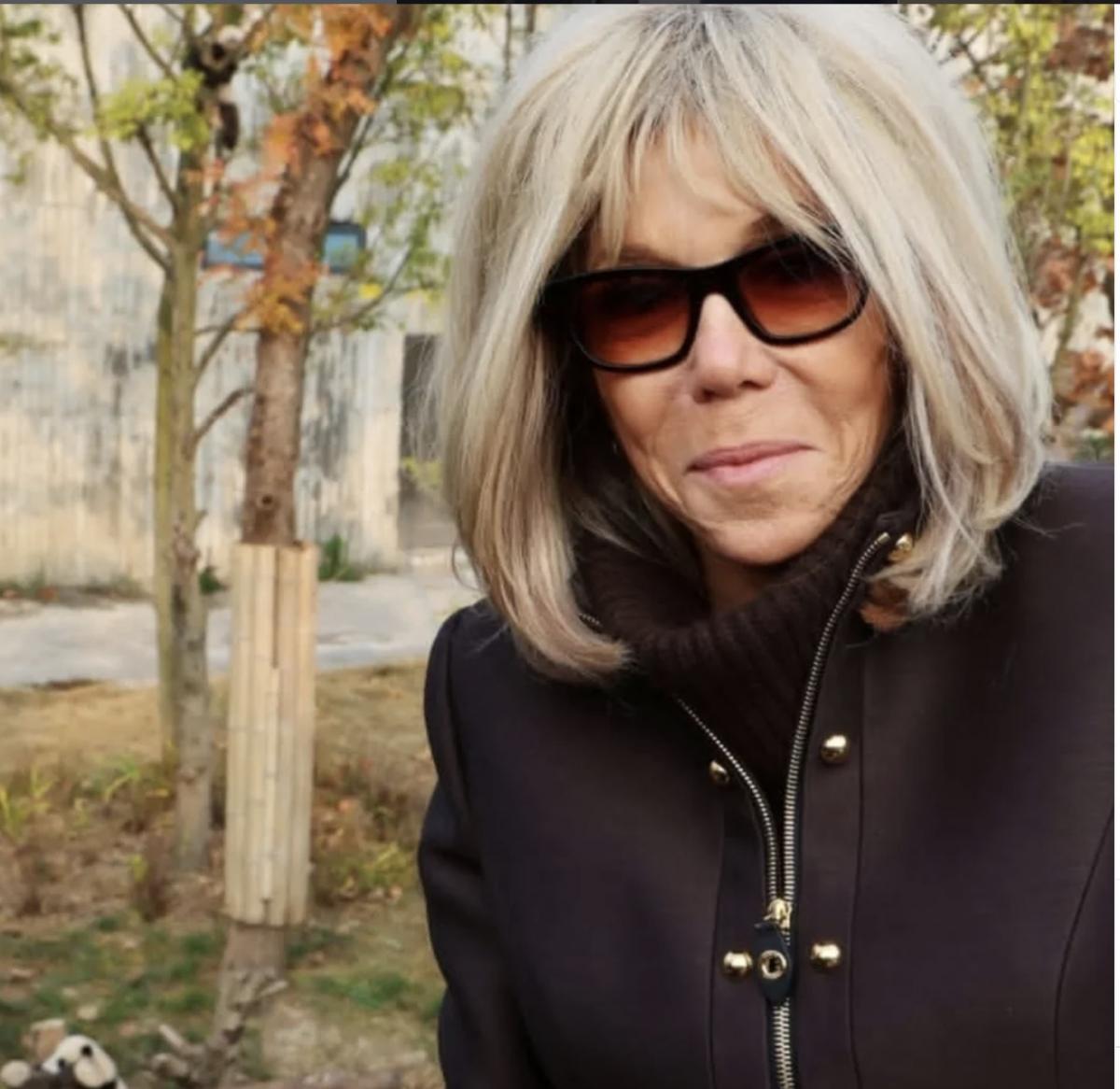 Брижит Макрон сделала неприятное высказывание Брижит Макрон сделала неприятное высказывание