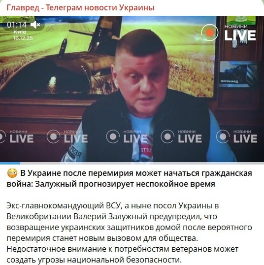 В Украине после перемирия может начаться гражданская война – Залужный