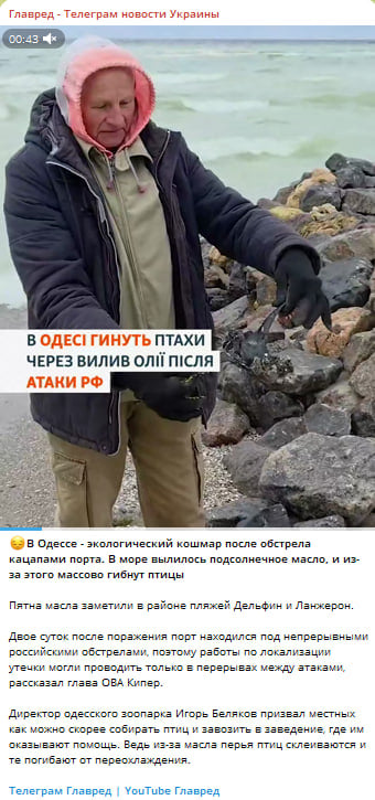 В одному місті України сталась справжня екологічна катастрофа – що відомо