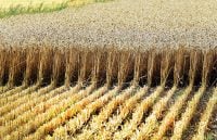 На екс-чиновника Андрія Задираку чекає екстрадиція з Греції через земельні схеми в Україні – ЗМІ