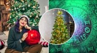 Может стать магнитом для денег или ссор: когда наряжать елку в декабре 2026