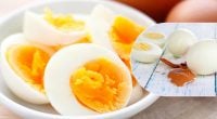 Чому варені яйця не можна кидати у холодну воду: відповідь здивує
