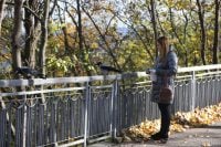 Украину накрывает похолодание: в каких областях будет мороз