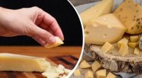 Ученые назвали целебный вид сыра, который снижает давление и улучшает здоровье сердца