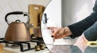 Чайник как новый за несколько минут: хозяйки советуют простое средство против накипи