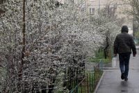 Погода в Україні найближчим часом зіпсується: зʼявився невтішний прогноз