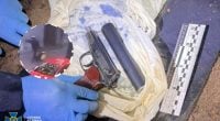 Нові деталі у справі про вбивство Парубія: знайдено пістолет та нові докази