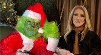 Тиха ніч? Не в мою зміну!: Селін Діон у костюмі Грінча насмішила Мережу