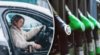 Яка солярка перетвориться на жижу в мороз: результати великої перевірки АЗС