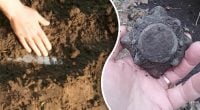 Украинец нашел на своем огороде уникальное сокровище времен Руси — что там было
