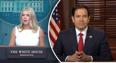 Левитт, Рубио