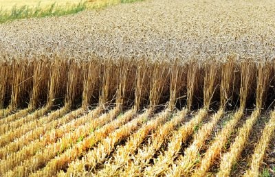 На екс-чиновника Андрія Задираку чекає екстрадиція з Греції через земельні схеми в Україні – ЗМІ