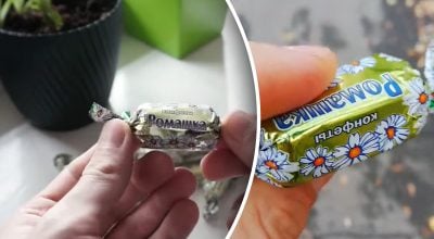 Як з'явилася назва цукерок Ромашка Як з'явилася назва цукерок Ромашка