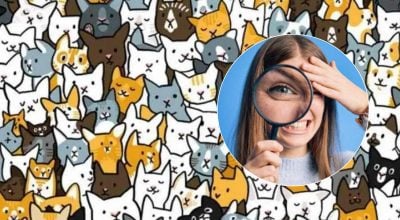 Треба знайти кролика на картинці за 20 секунд: швидкий тест для перевірки IQ