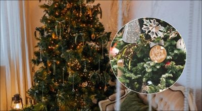 Чим полити новорічну ялинку, щоб вона не обсипалася: відповідь здивує