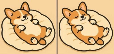 головоломка головоломка