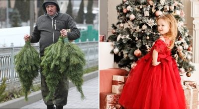 Цитрус, прянощі та ліс після снігу: яка ялинка пахне "справжнім Різдвом"