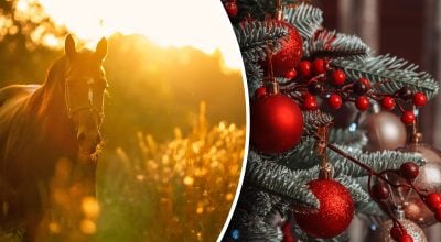 У якому кольорі зустрічати 2026 рік: що принесе удачу в рік Вогняного Коня