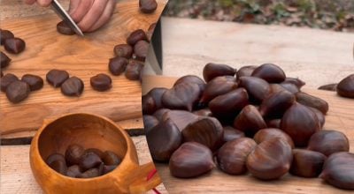 'Сладкие и похожие на картошку': какие каштаны съедобны и почему их путали годами 'Сладкие и похожие на картошку': какие каштаны съедобны и почему их путали годами