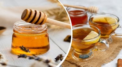 Можно ли добавлять мед в горячий чай: эксперты дали однозначный ответ Можно ли добавлять мед в горячий чай: эксперты дали однозначный ответ