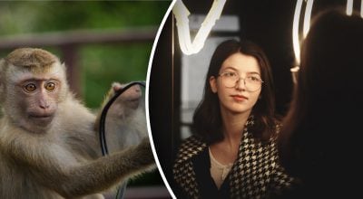 Звідки у людей взялась свідомість та як вона працює - вчені зробили відкриття