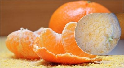 Як зберегти апельсини на півроку: секрет кулінарів