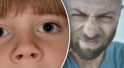 Почему у человека две ноздри, а не одно большое отверстие: ученые дали объяснение