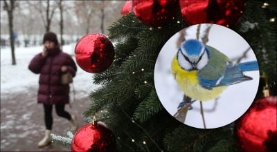 Погода в Україні 