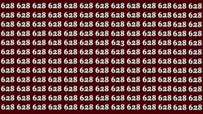 Головоломка для супер кмітливих: знайдіть число 623 лише за 32 секунди