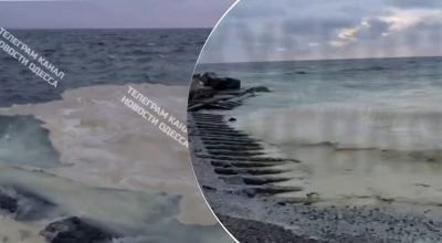 Екологічна катастрофа в Одесі: біля двох пляжів виявили нафтові плями та загиблих птахів