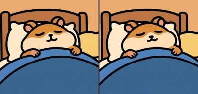 головоломка головоломка