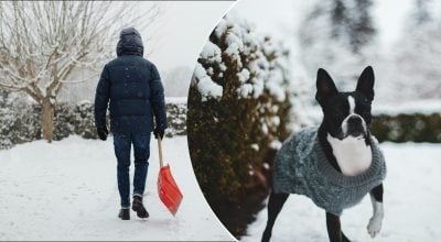 Зима, сад, прибирання снігу 