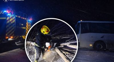 Поваленные деревья и парализованное движение: последствия непогоды в Украине