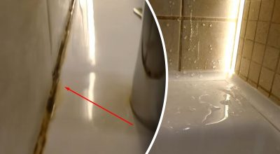 Как избавиться от плесени в ванной Как избавиться от плесени в ванной